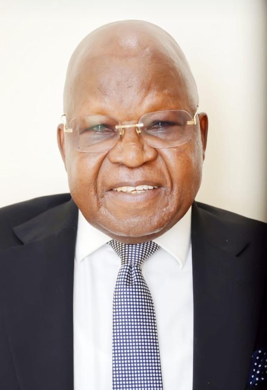 Portrait of Professor Paul Obo Idornigie, SAN